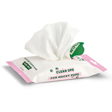 Beco Coconut Scented Dog Wipes - 20 Pack