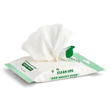 Beco Unscented Dog Wipes - 20 Pack