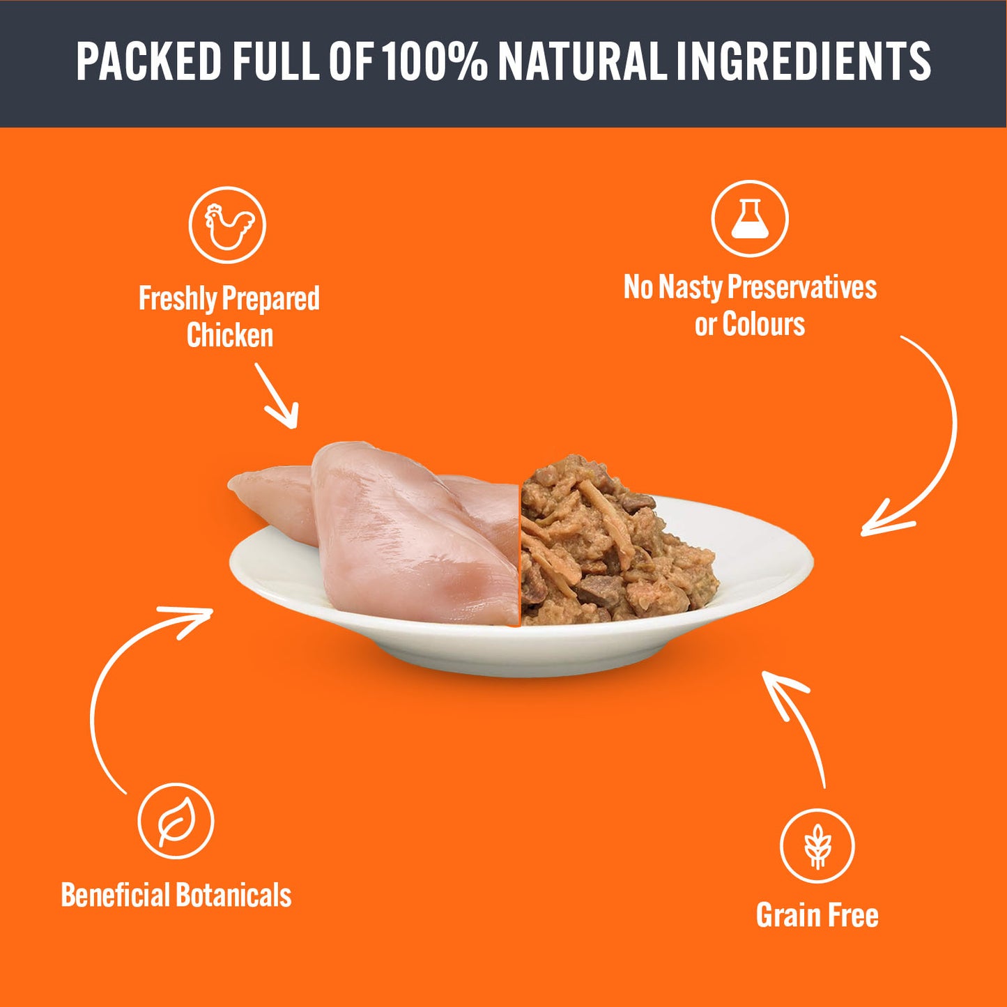 HiLife Adult Wet Cat Food - Chicken Pate Recipes - 32x70g Pouches