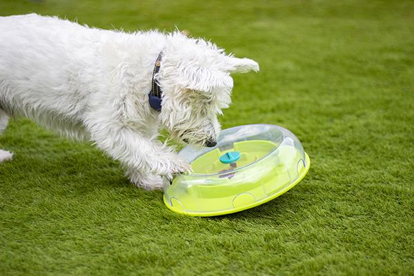 Nina Ottoson Interactive Dog Treat Puzzle - Wobble Bowl