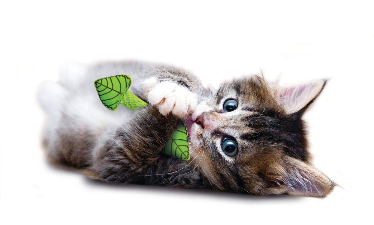 Nina Ottosson Catstages Fresh Breath Mint Stick Cat Toy