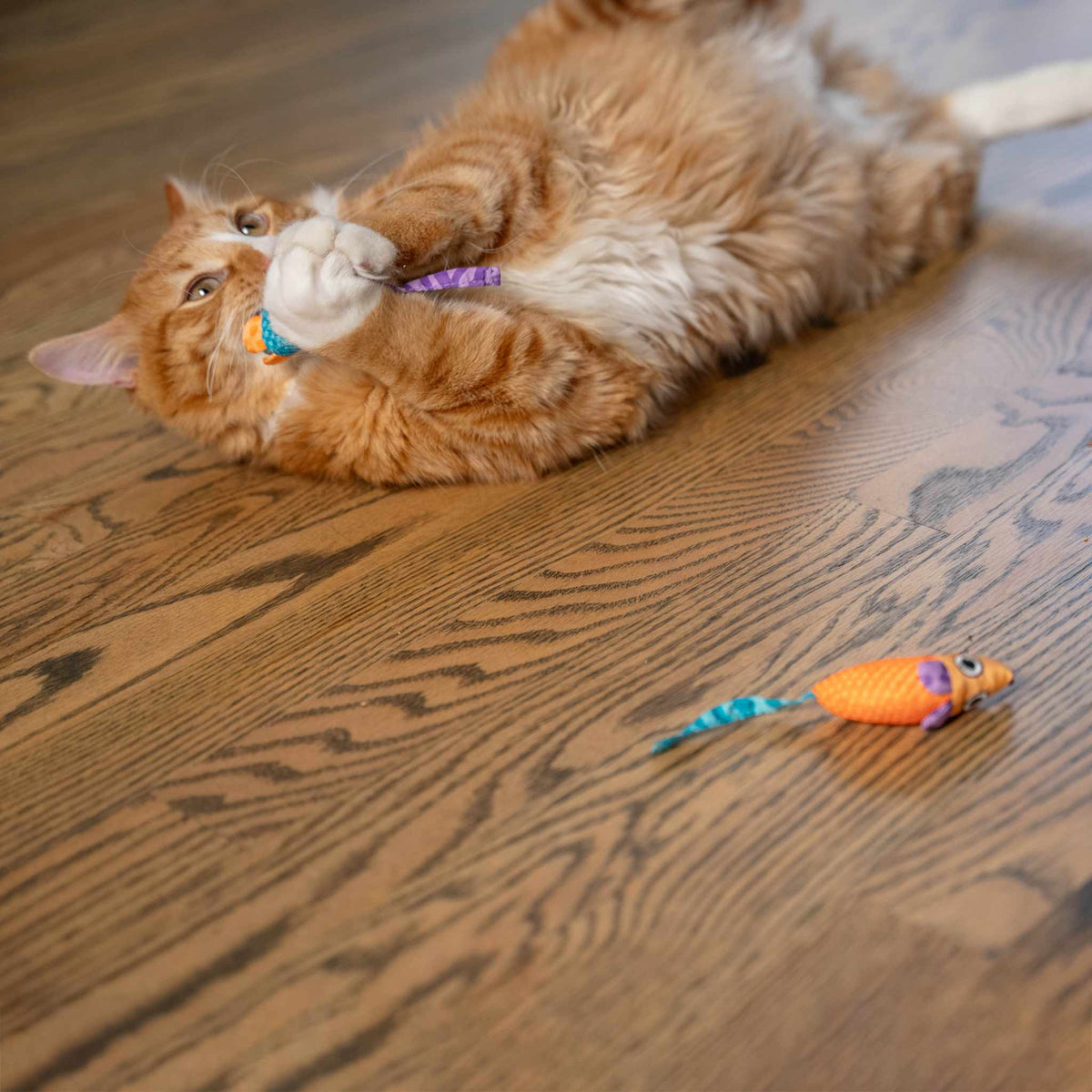 Nina Ottosson Catstages Catnip Chew Mice Cat Toy