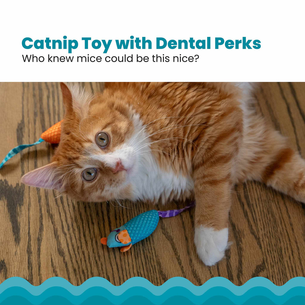 Nina Ottosson Catstages Catnip Chew Mice Cat Toy