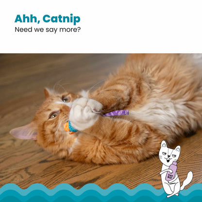 Nina Ottosson Catstages Catnip Chew Mice Cat Toy