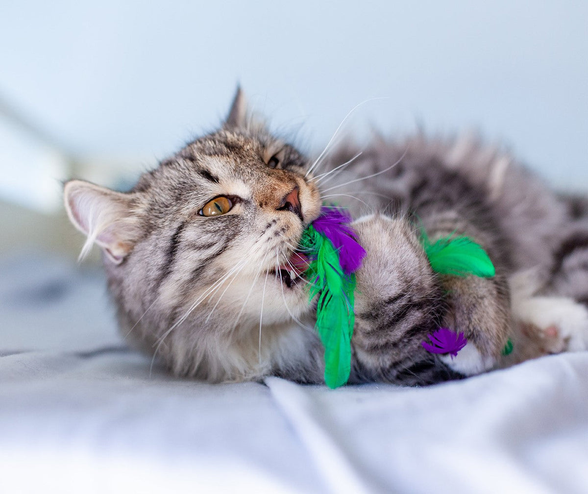 Nina Ottosson Catstages Krazy Kale Cat Toy