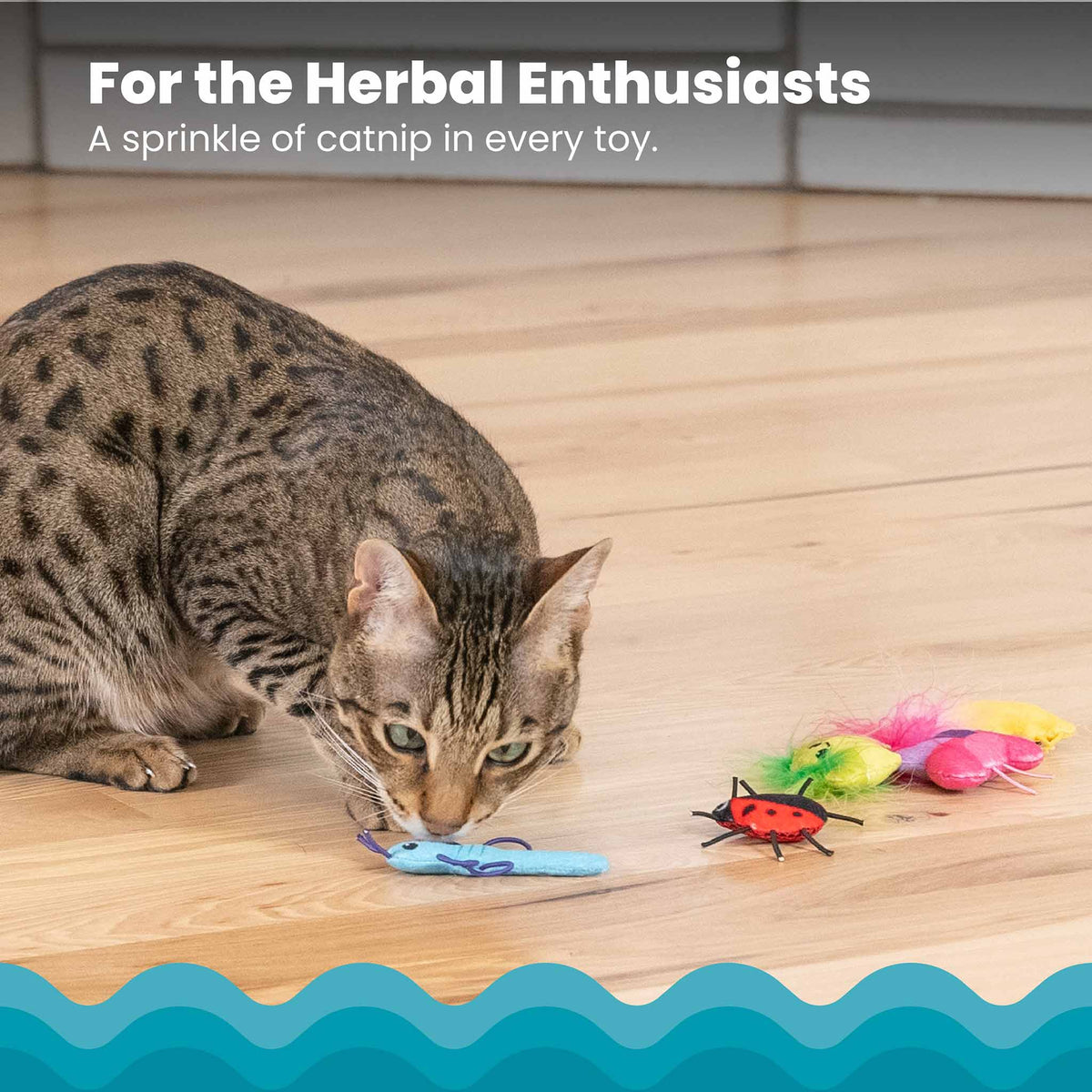 Nina Ottosson Catstages Cute as a Bug Cat Toys - 6 Pack