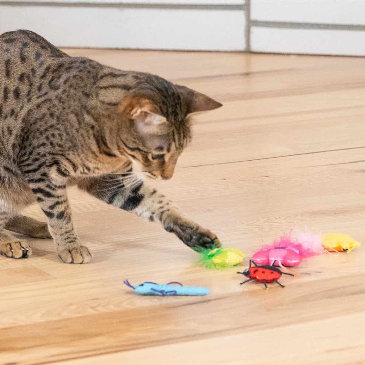 Nina Ottosson Catstages Cute as a Bug Cat Toys - 6 Pack