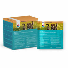 CVET Oral Rehydration Sachets for Cats & Dogs - 10x30g