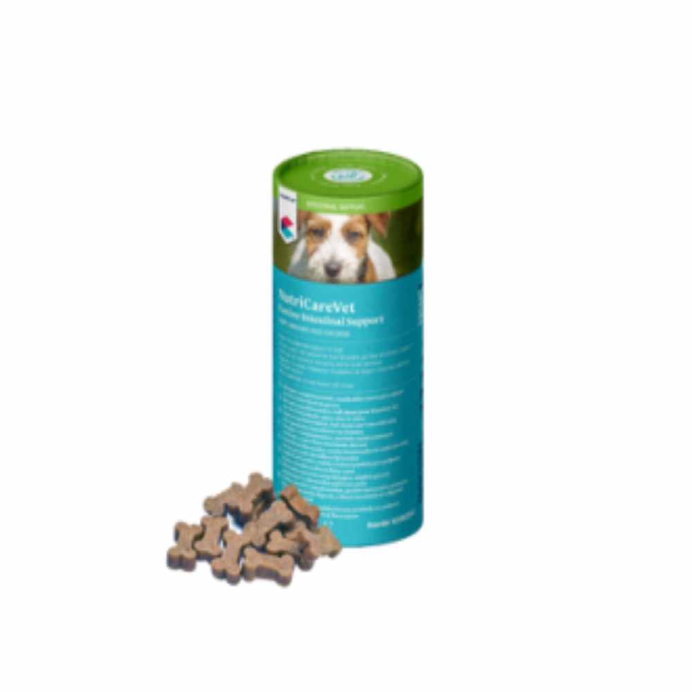 CVET NutriCareVet Canine Intestinal Support Soft Chew - 60 Pack