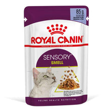 Royal Canin Feline Health Nutrition Sensory Smell in Gravy Wet Cat Food - 12x85g Pouches