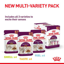 Royal Canin Feline Health Nutrition Sensory Taste in Jelly Wet Cat Food - 12x85g Pouches