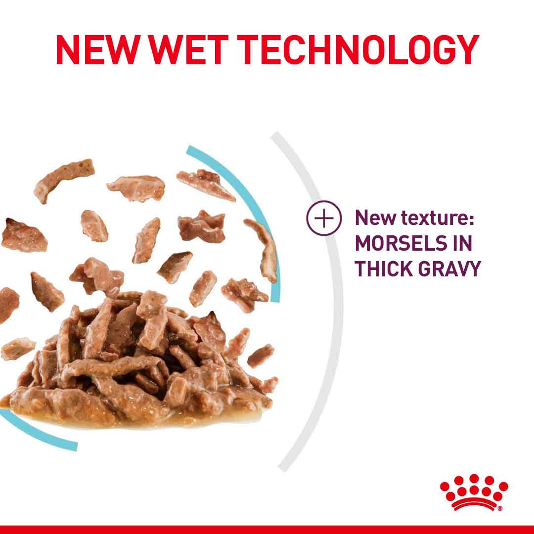 Royal Canin Feline Health Nutrition Sensory Feel in Gravy Wet Cat Food - 12x85g Pouches