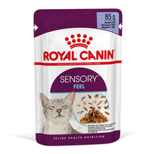 Royal Canin Feline Health Nutrition Sensory Feel in Gravy Wet Cat Food - 12x85g Pouches