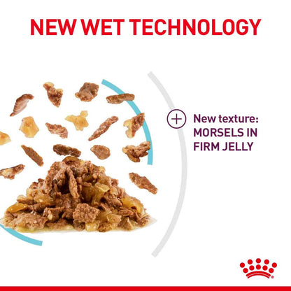 Royal Canin Feline Health Nutrition Sensory Feel in Jelly Wet Cat Food - 12x85g Pouches