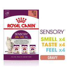 Royal Canin Feline Health Nutrition Sensory Variety Pack in Gravy Wet Cat Food - 12x85g Pouches