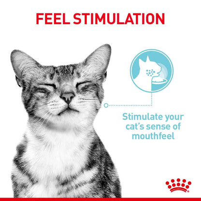 Royal Canin Feline Health Nutrition Sensory Variety Pack in Gravy Wet Cat Food - 12x85g Pouches