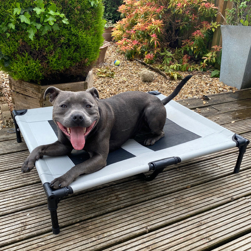 Barkshire Premium Raised Dog Bed - Large 91x76cm