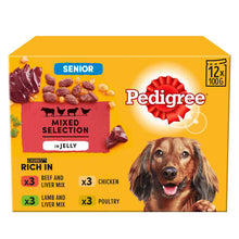 Pedigree Senior Wet Dog Food in Jelly - Mixed Selection - 12x100g Pouches
