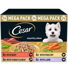 CESAR Country Stew Adult Wet Dog Food in Gravy - Mixed Selection - 24x150g Trays