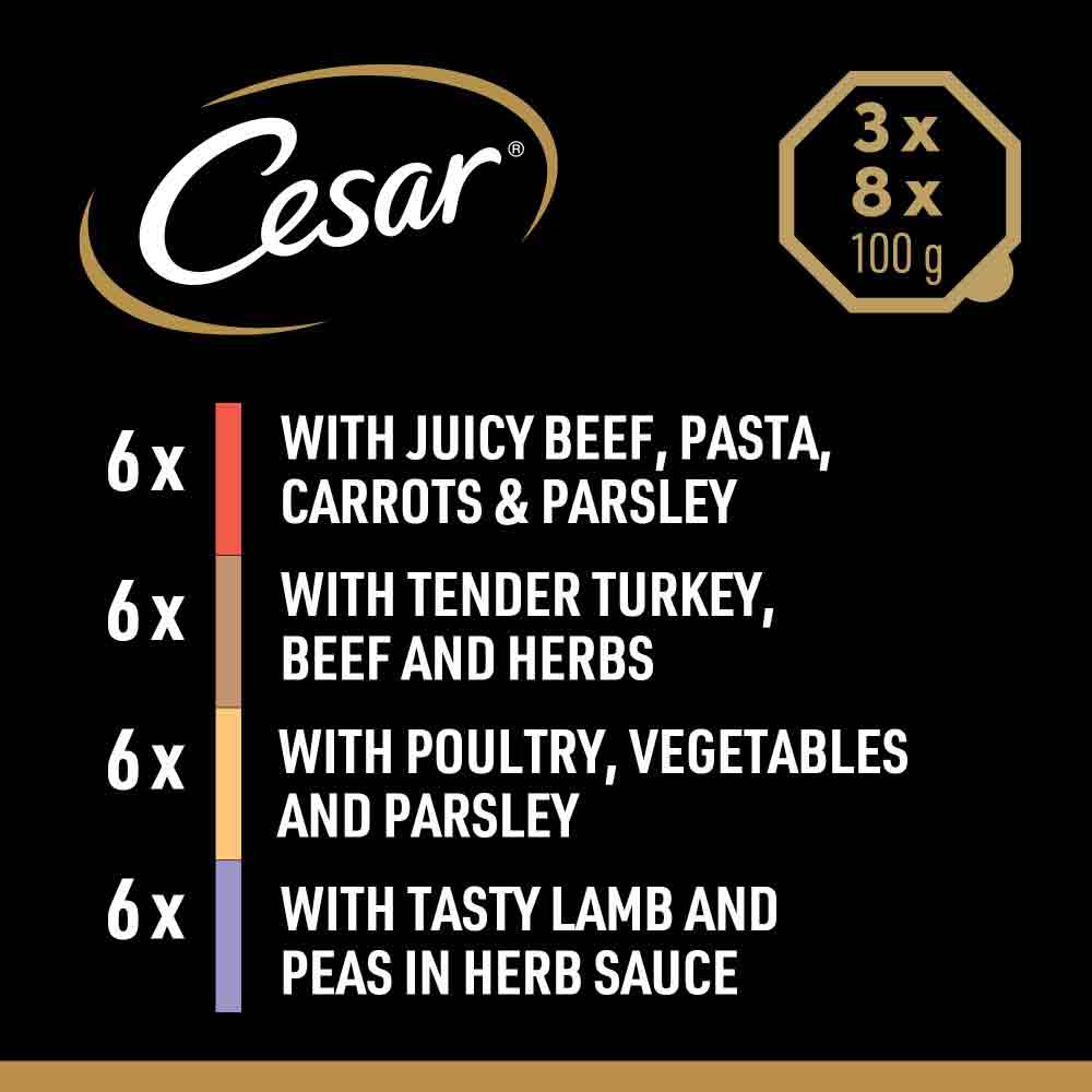 CESAR Country Stew Adult Wet Dog Food in Gravy - Mixed Selection - 24x150g Trays