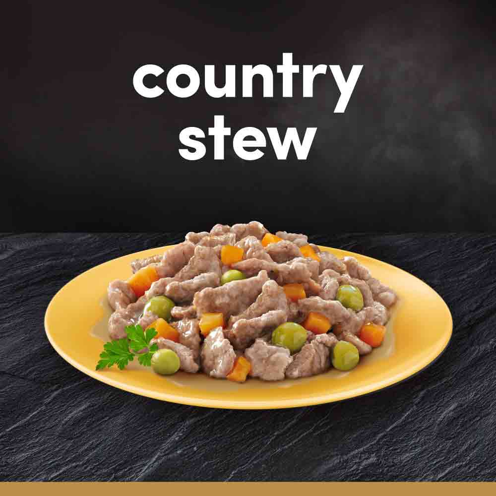 CESAR Country Stew Adult Wet Dog Food in Gravy - Mixed Selection - 24x150g Trays