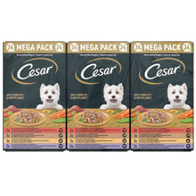 CESAR Country Stew Adult Wet Dog Food in Gravy - Mixed Selection - 24x150g Trays