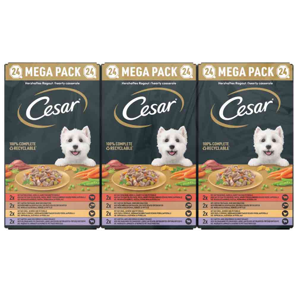 CESAR Country Stew Adult Wet Dog Food in Gravy - Mixed Selection - 24x150g Trays