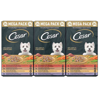 CESAR Country Stew Adult Wet Dog Food in Gravy - Mixed Selection - 24x150g Trays