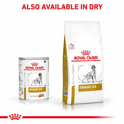 Royal Canin Veterinary Health Nutrition Urinary S/O Canine Wet Dog Food - 12x410g cans