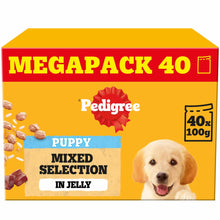 PEDIGREE Puppy Wet Dog Food in Jelly - Mixed Selection - 40x100g Pouches