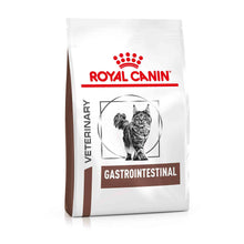 Royal Canin Veterinary Health Nutrition Gastro Intestinal GI32 Dry Cat Food