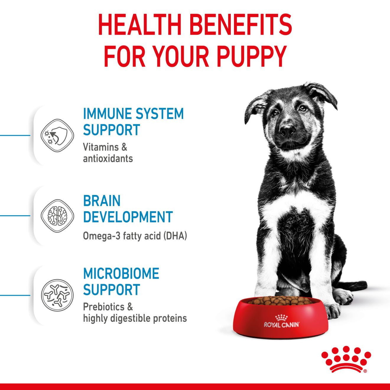 Royal Canin Size Health Nutrition Maxi Puppy Dry Dog Food