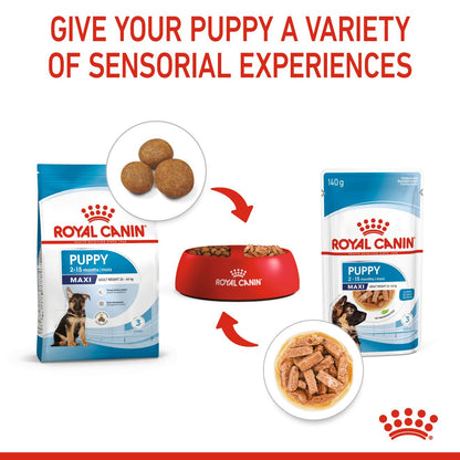 Royal Canin Size Health Nutrition Maxi Puppy Dry Dog Food