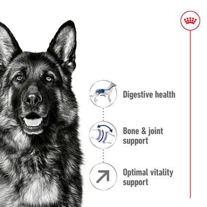 Royal Canin Size Health Nutrition Maxi Adult 5+ Dry Dog Food