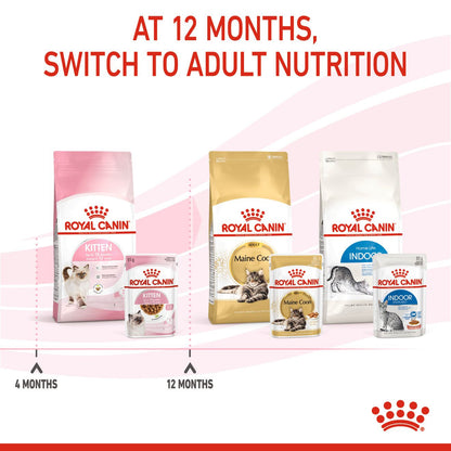 Royal Canin Feline Health Nutrition Dry Kitten Food
