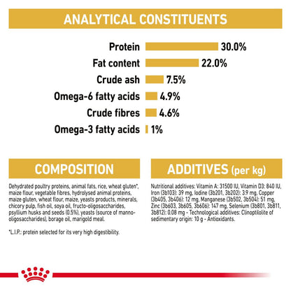 Royal Canin Persian Adult Dry Cat Food