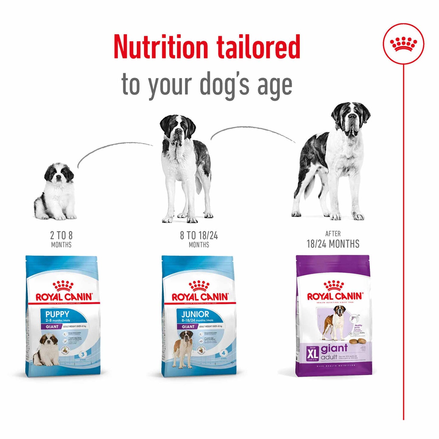 Royal Canin Size Health Nutrition Giant Adult Dry Dog Food