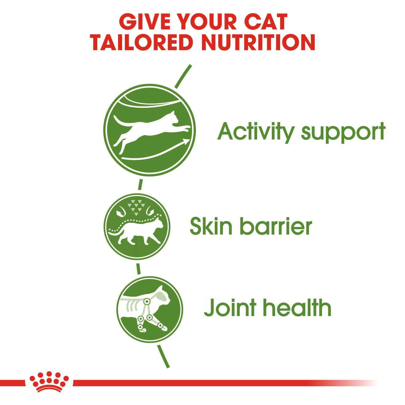 ROYAL CANIN Outdoor Dry Adult Cat Food