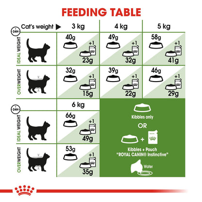 ROYAL CANIN Outdoor Dry Adult Cat Food