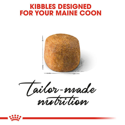 Royal Canin Breed Health Nutrition Maine Coon Adult Dry Cat Food