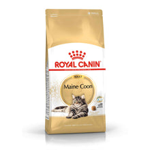 Royal Canin Breed Health Nutrition Maine Coon Adult Dry Cat Food