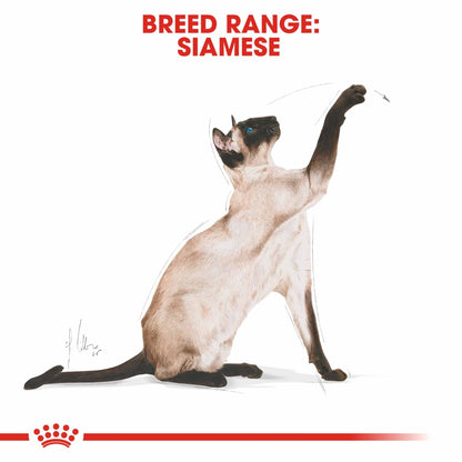 Royal Canin Breed Health Nutrition Siamese Adult Dry Cat Food