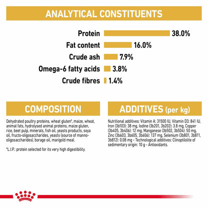 Royal Canin Breed Health Nutrition Siamese Adult Dry Cat Food