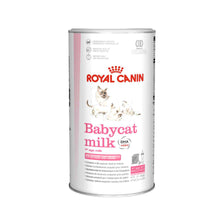 Royal Canin Babycat Milk Kitten Food - 300g
