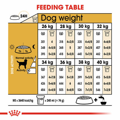 Royal Canin Breed Health Nutrition Labrador Retriever Adult Dry Dog Food