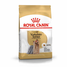 Royal Canin Breed Health Nutrition Yorkshire Terrier Adult Dry Dog Food