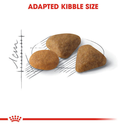 ROYAL CANIN Savour Exigent Dry Adult Cat Food