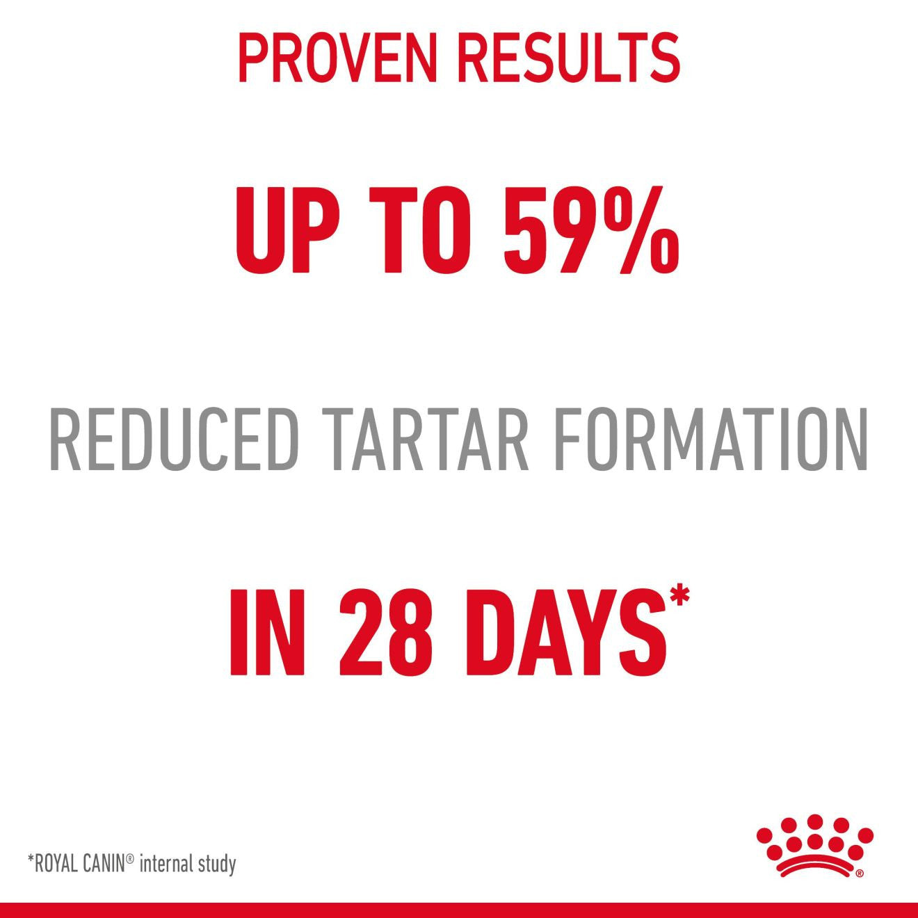 ROYAL CANIN Dental Care Adult Dry Cat Food