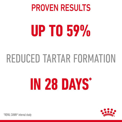 ROYAL CANIN Dental Care Adult Dry Cat Food