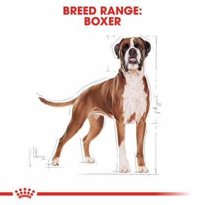 Royal Canin Breed Health Nutrition Boxer Adult Dry Dog Food